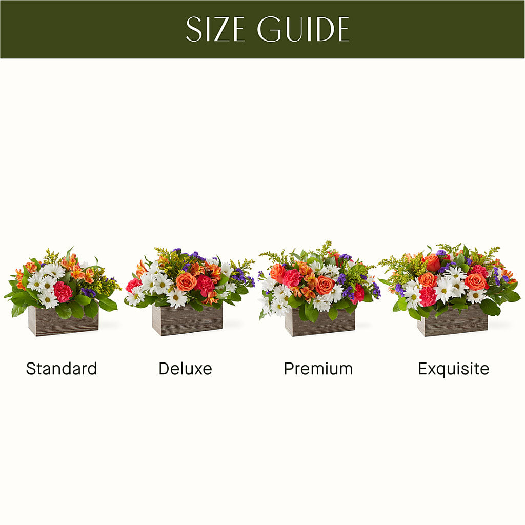 Oopsie Daisy Box Bouquet –  Evergreen Flowers, Tucson AZ