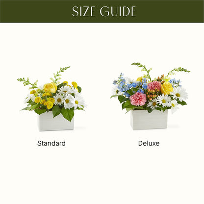 Sun Salutation Box Bouquet –  Evergreen Flowers, Tucson AZ