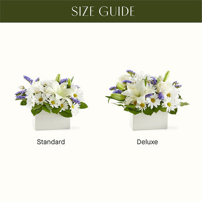 Beyond Blue Box Bouquet –  Evergreen Flowers, Tucson AZ