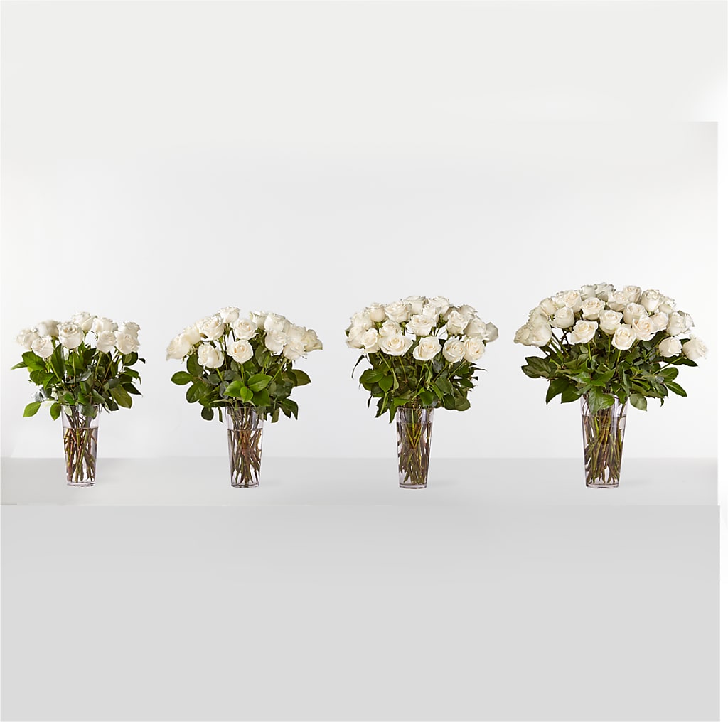 Long Stem White Rose Bouquet –  Evergreen Flowers, Tucson AZ