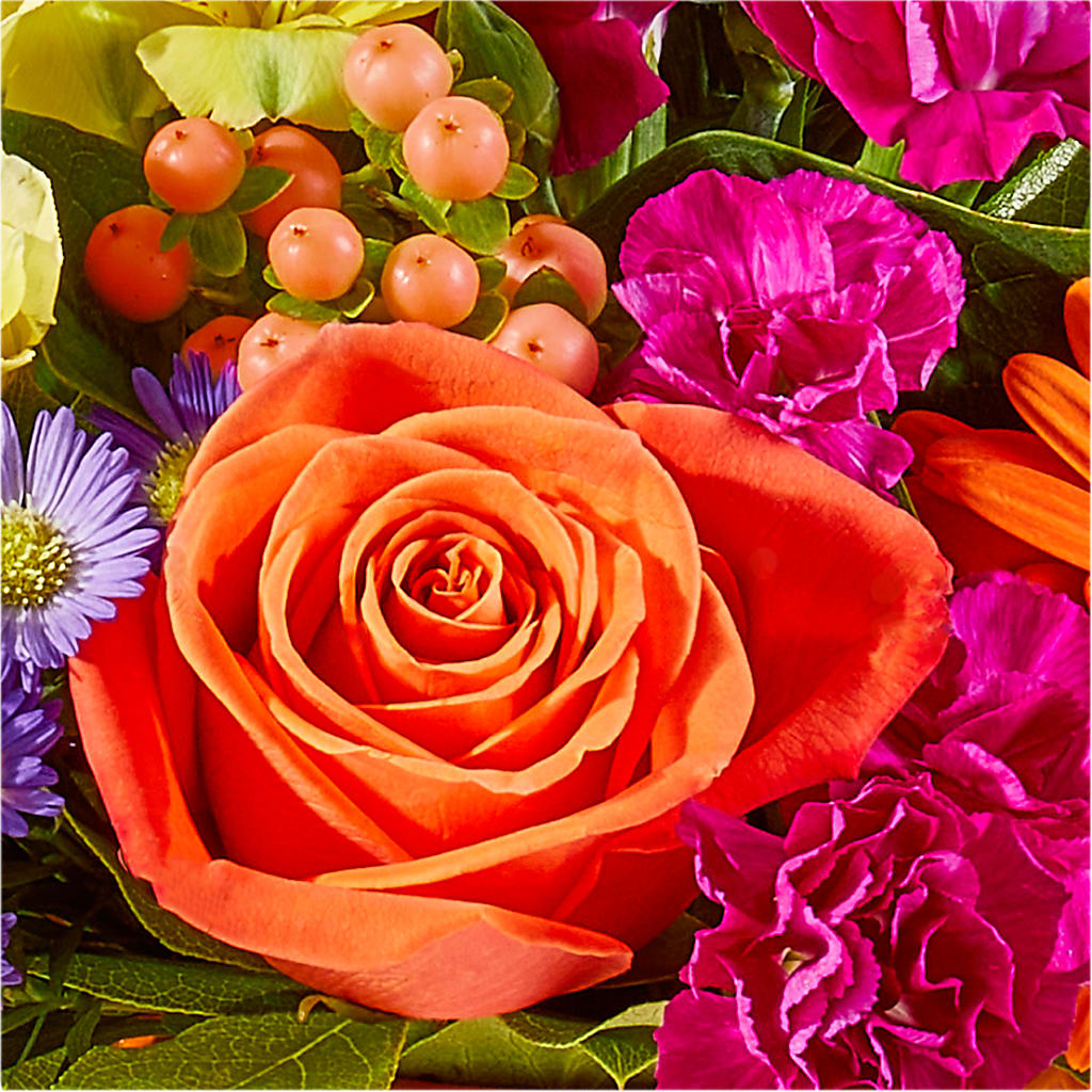 Tricks & Treats Pumpkin –  Evergreen Flowers, Tucson AZ
