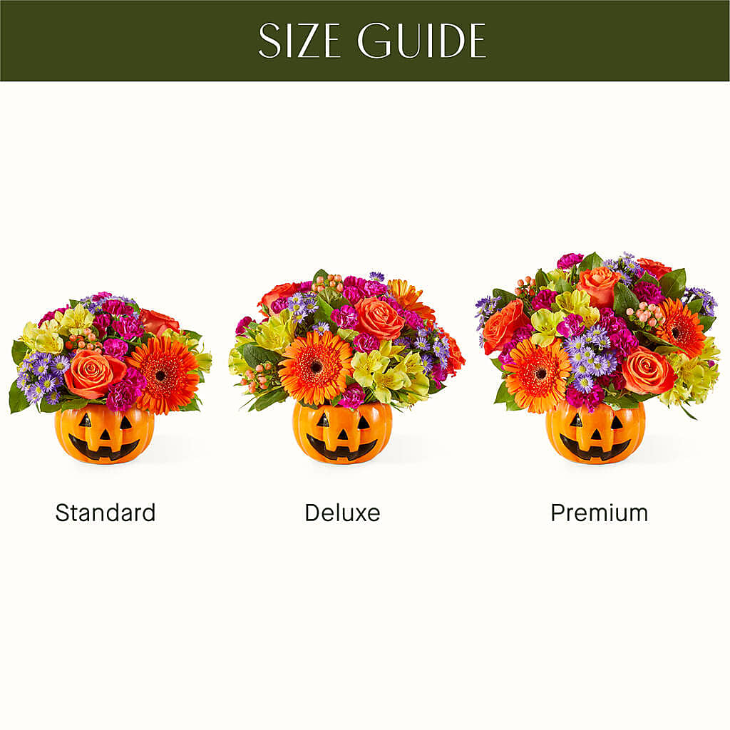 Tricks & Treats Pumpkin –  Evergreen Flowers, Tucson AZ
