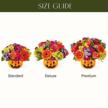 Tricks & Treats Pumpkin –  Evergreen Flowers, Tucson AZ