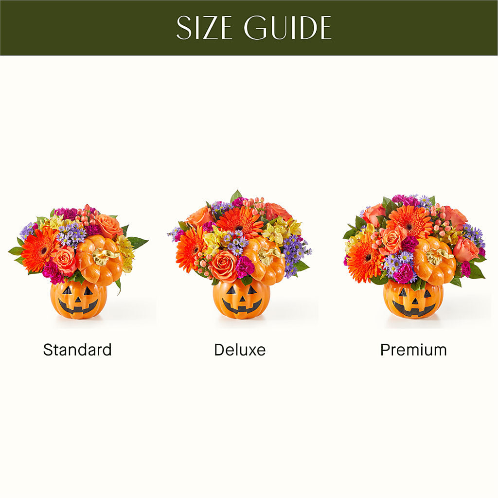 Tricks & Treats Pumpkin –  Evergreen Flowers, Tucson AZ