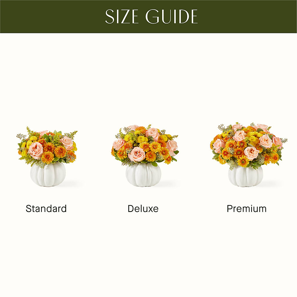 Peachy Pumpkin –  Evergreen Flowers, Tucson AZ