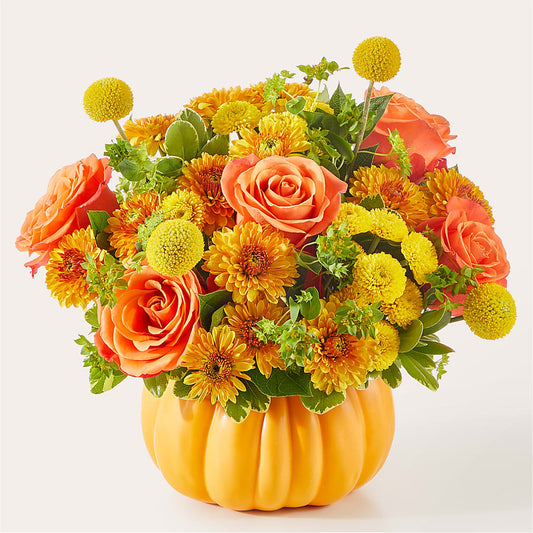 Gourdgeous Pumpkin –  Evergreen Flowers, Tucson AZ