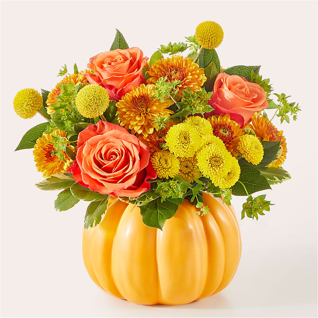 Gourdgeous Pumpkin –  Evergreen Flowers, Tucson AZ