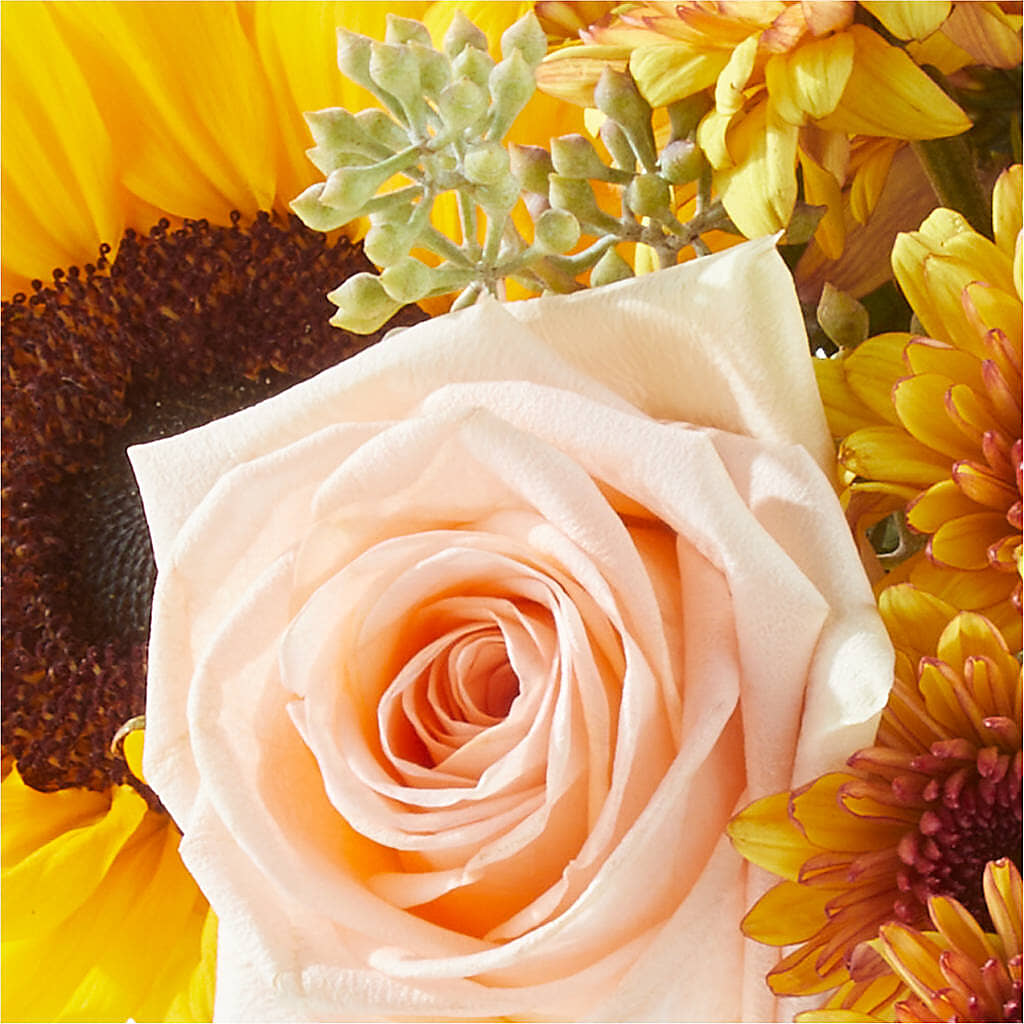 Pumpkin to Talk About Bouquet –  Evergreen Flowers, Tucson AZ