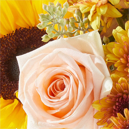 Pumpkin to Talk About Bouquet –  Evergreen Flowers, Tucson AZ