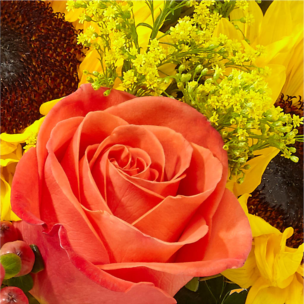 Pick of the Patch Pumpkin Bouquet –  Evergreen Flowers, Tucson AZ