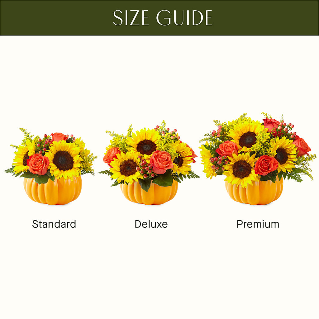 Pick of the Patch Pumpkin Bouquet –  Evergreen Flowers, Tucson AZ