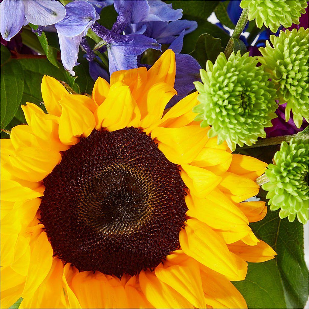 Catching Rays Bouquet –  Evergreen Flowers, Tucson AZ