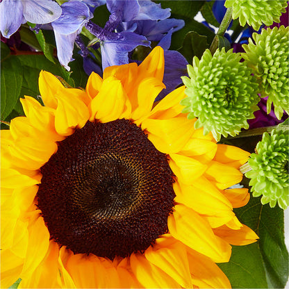Catching Rays Bouquet –  Evergreen Flowers, Tucson AZ