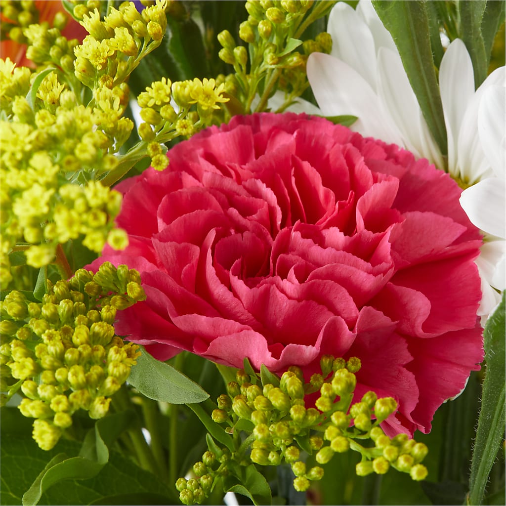 Oopsie Daisy Bouquet –  Evergreen Flowers, Tucson AZ