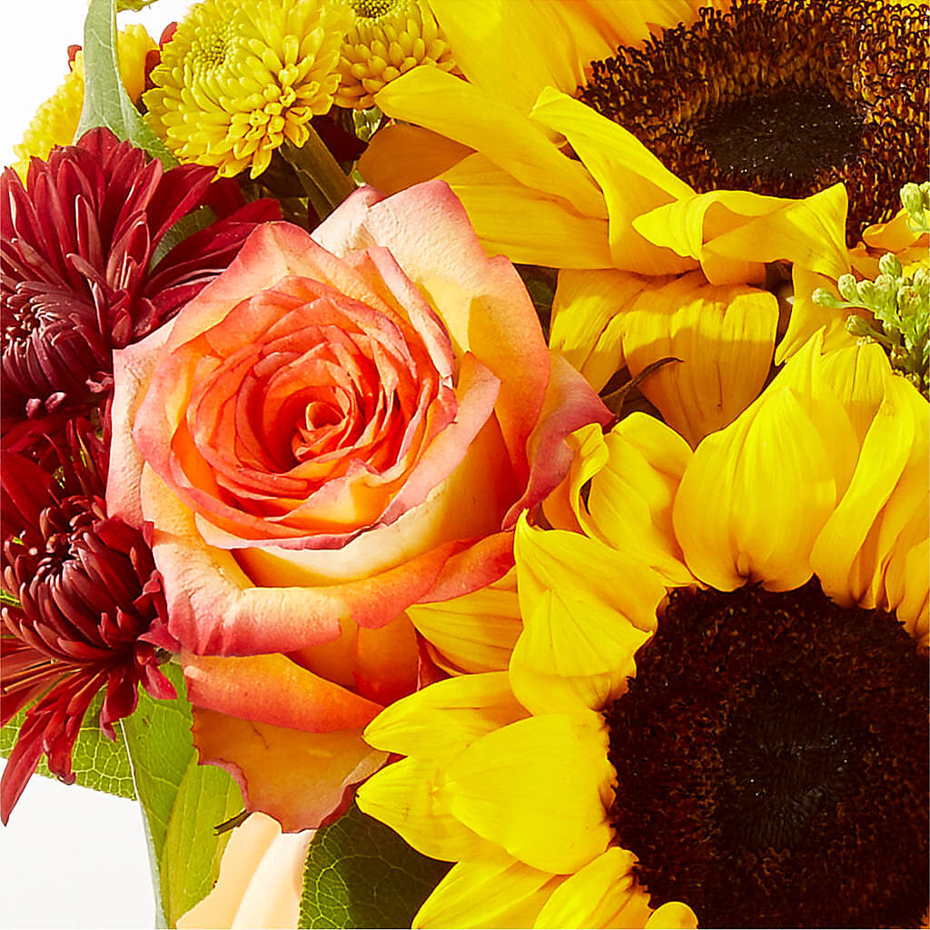 Golden Gourd Pumpkin Bouquet –  Evergreen Flowers, Tucson AZ