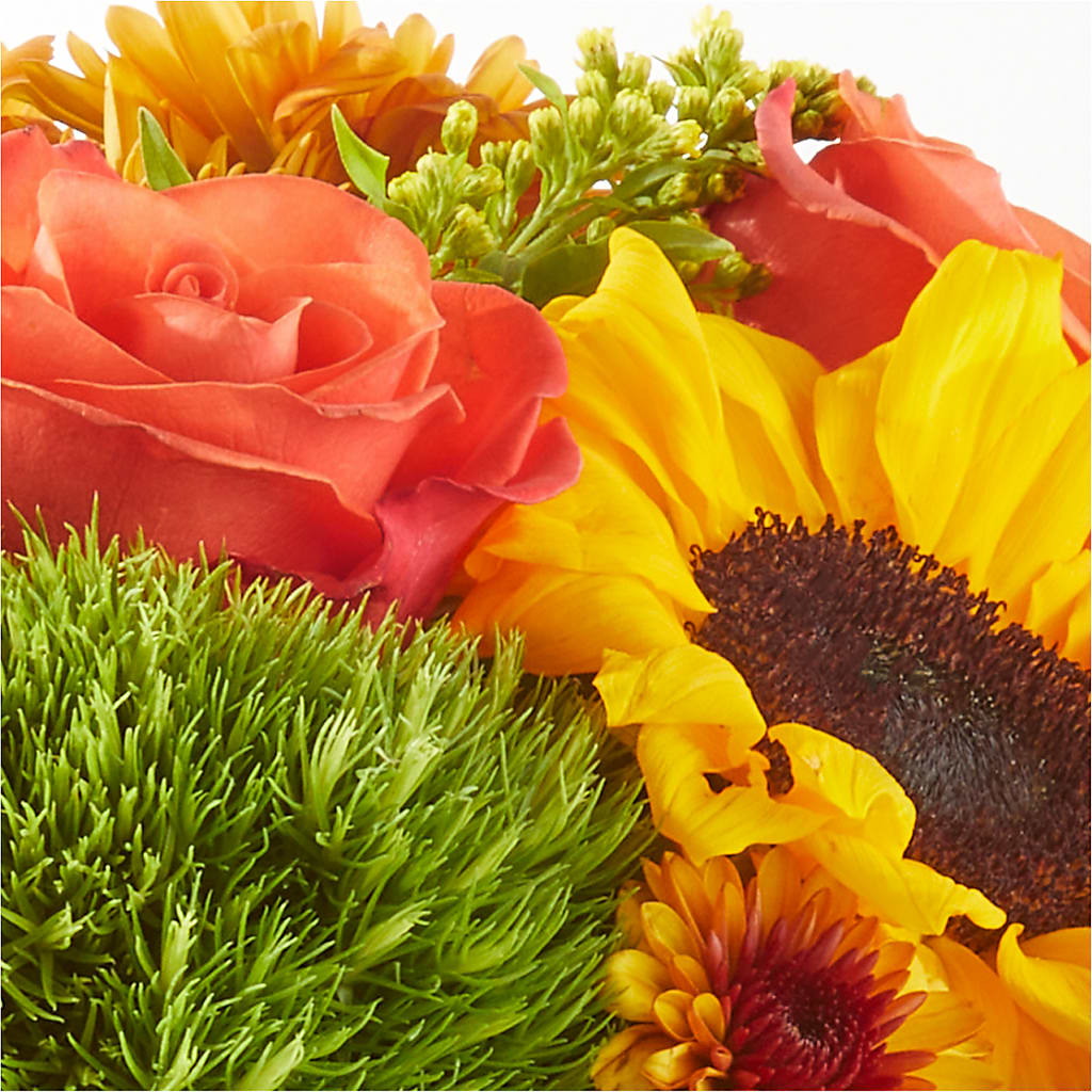 Farmer’s Market Stroll Bouquet –  Evergreen Flowers, Tucson AZ