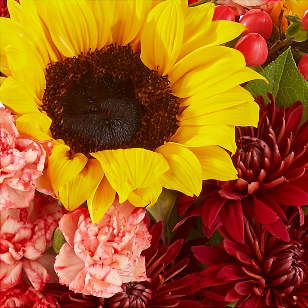 Fresh Cider Bouquet –  Evergreen Flowers, Tucson AZ