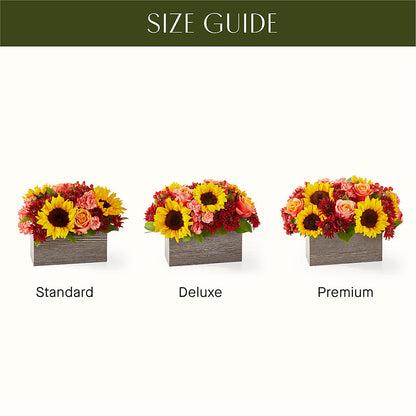 Fresh Cider Bouquet –  Evergreen Flowers, Tucson AZ