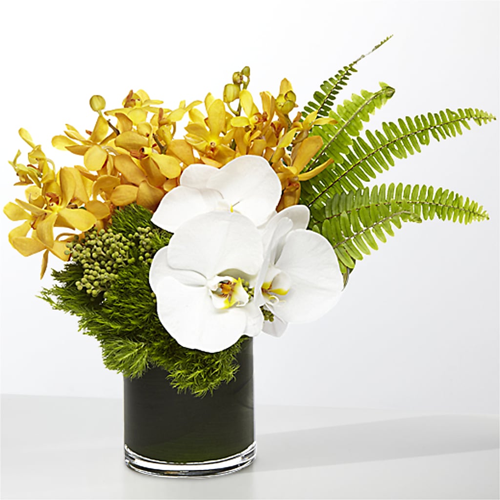 The Tropics –  Evergreen Flowers, Tucson AZ
