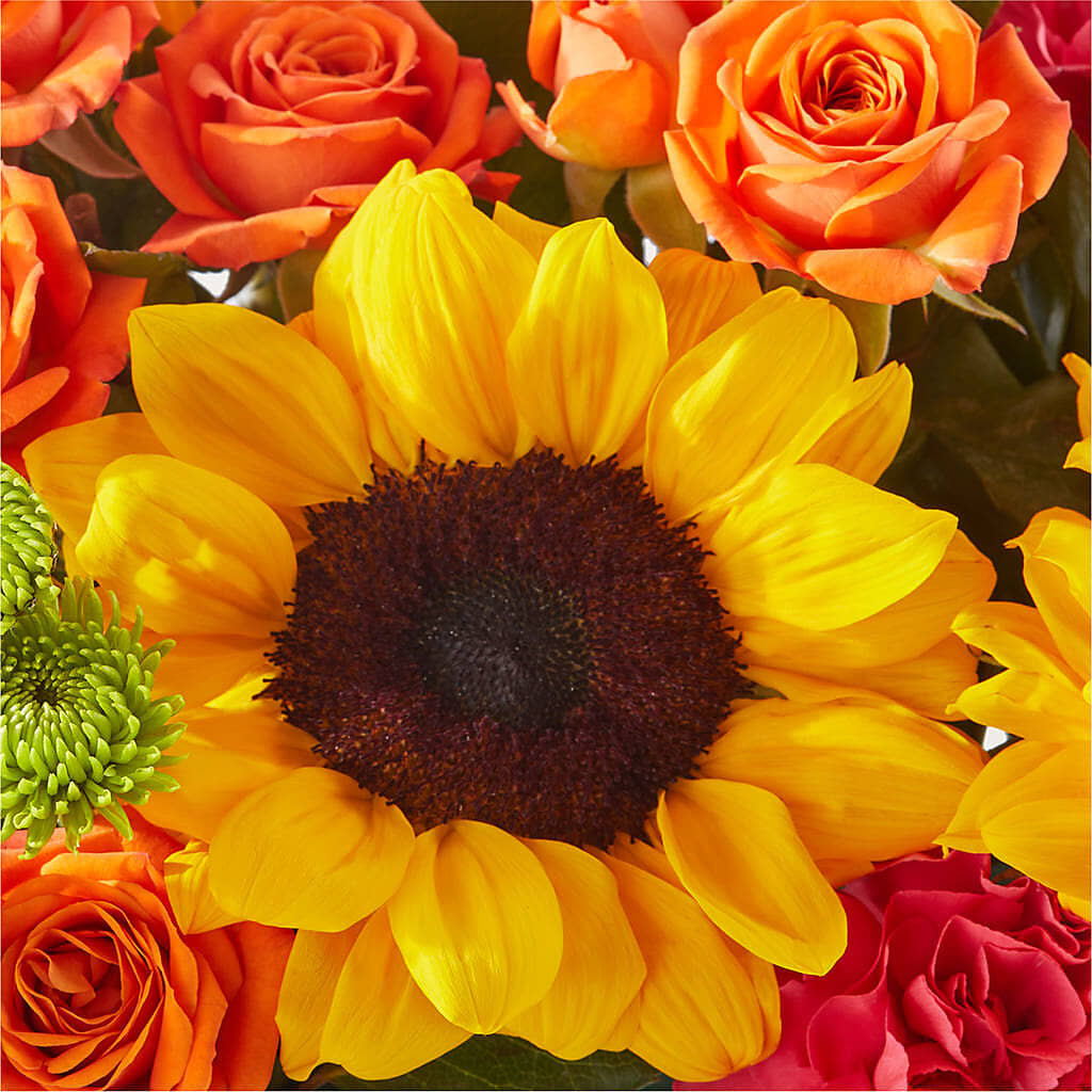 Sun-drenched Blooms Box Bouquet –  Evergreen Flowers, Tucson AZ