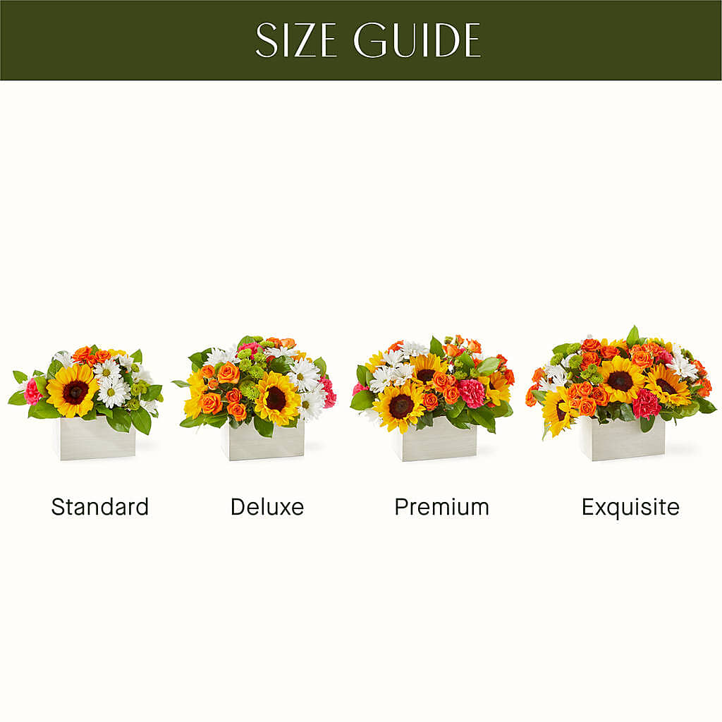 Sun-drenched Blooms Box Bouquet –  Evergreen Flowers, Tucson AZ