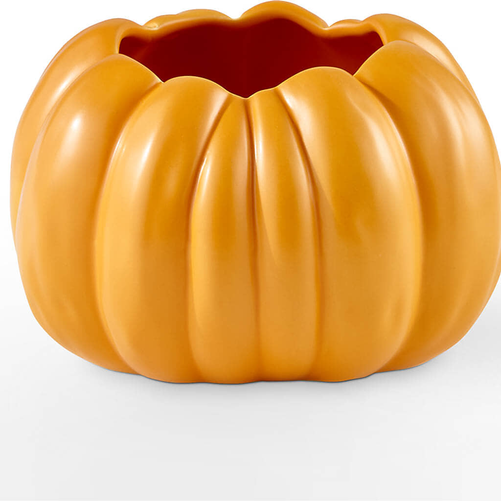 Pick of the Patch Pumpkin Bouquet –  Evergreen Flowers, Tucson AZ