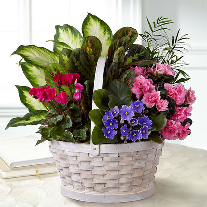 Peaceful Garden Planter –  Evergreen Flowers, Tucson AZ