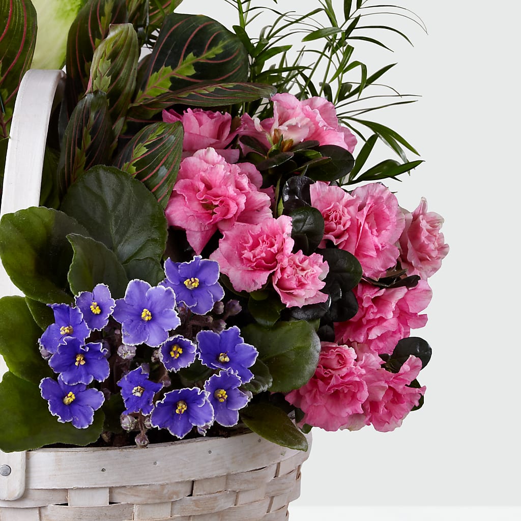Peaceful Garden Planter –  Evergreen Flowers, Tucson AZ