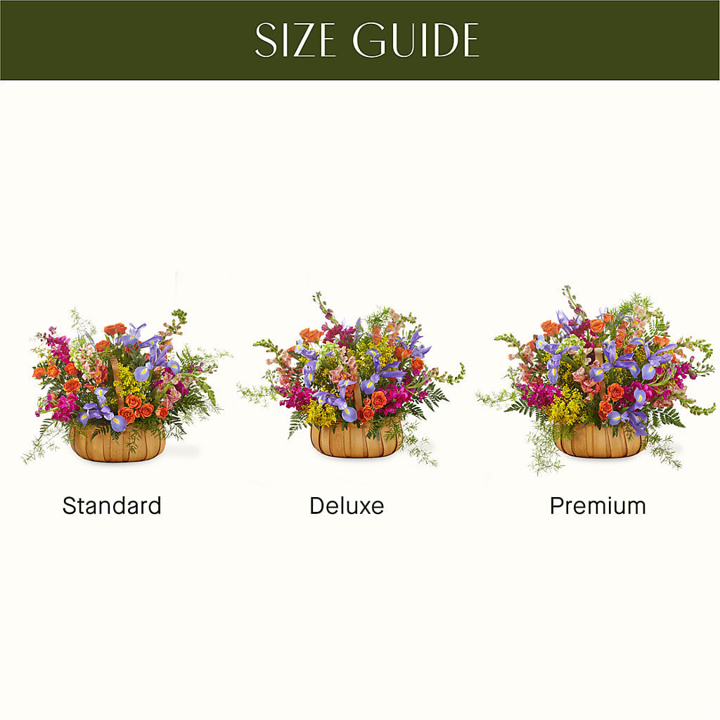 Garden of Life Basket –  Evergreen Flowers, Tucson AZ