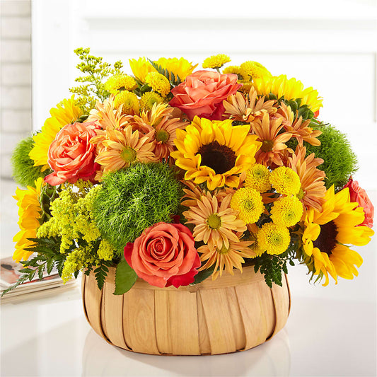 Harvest Sunflower Basket –  Evergreen Flowers, Tucson AZ