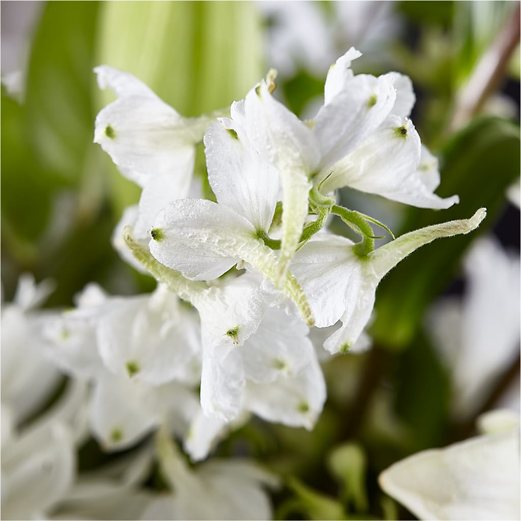 Classic Ivory – A Florist Original –  Evergreen Flowers, Tucson AZ