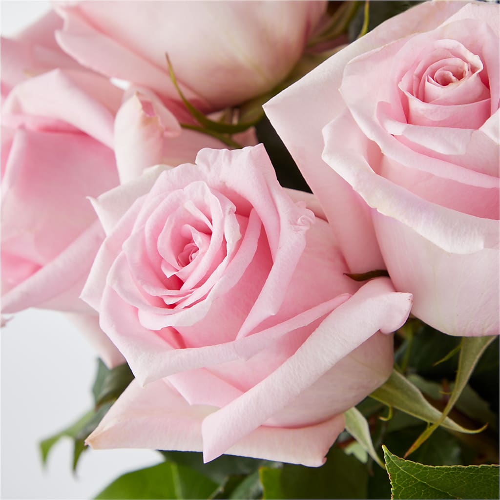 Picture Perfect Pink Rose Bouquet –  Evergreen Flowers, Tucson AZ