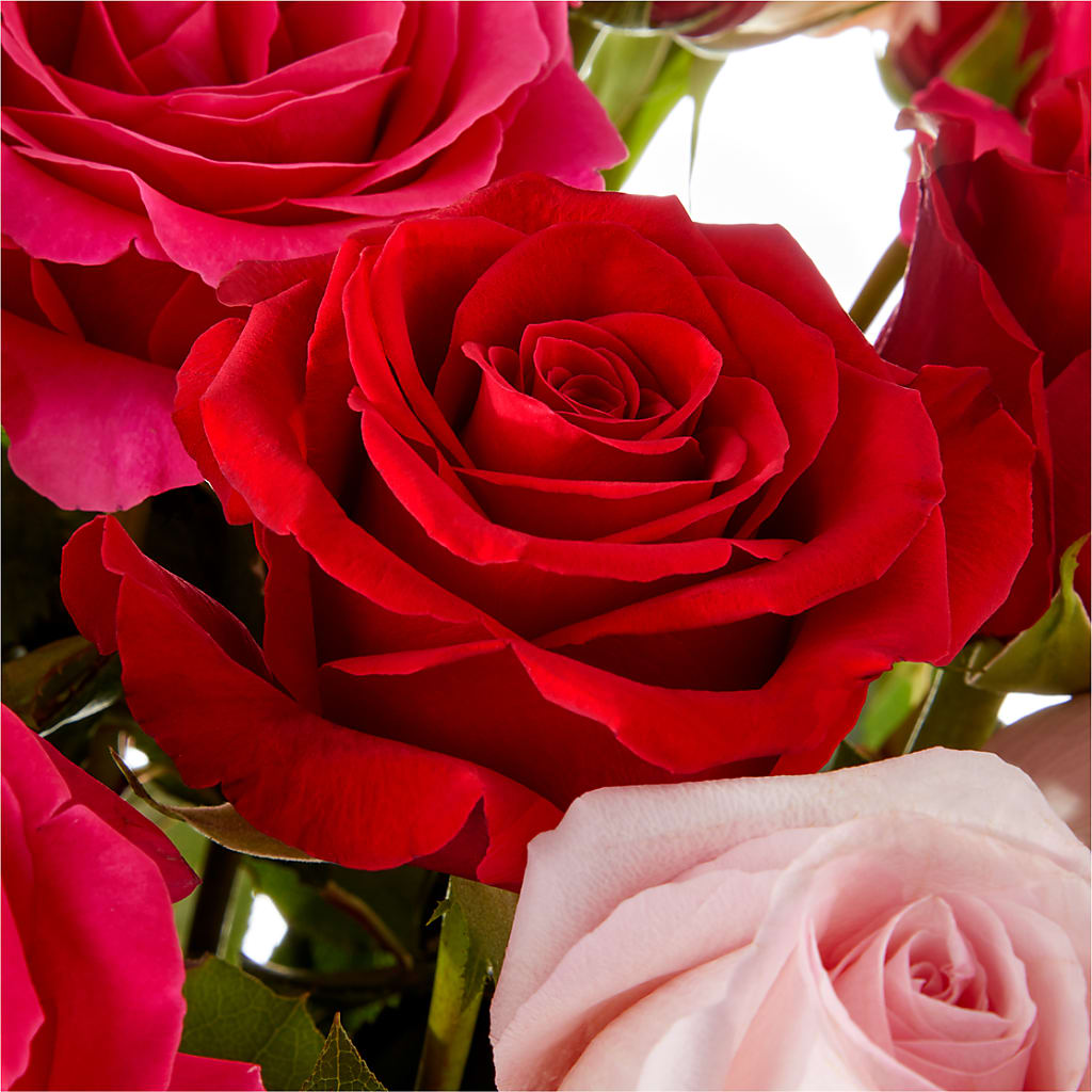 Love Notes Rose Bouquet –  Evergreen Flowers, Tucson AZ