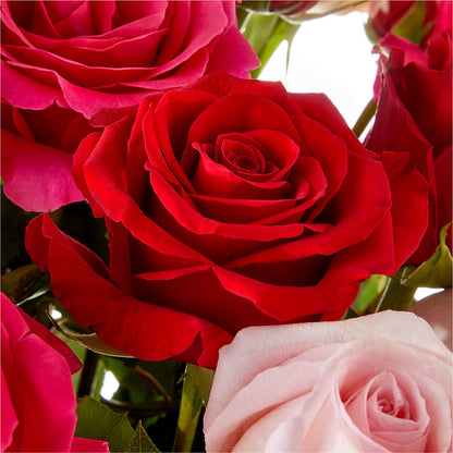 Love Notes Rose Bouquet –  Evergreen Flowers, Tucson AZ