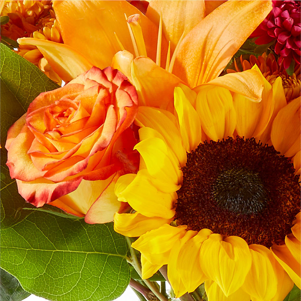 Fall Day Bouquet –  Evergreen Flowers, Tucson AZ
