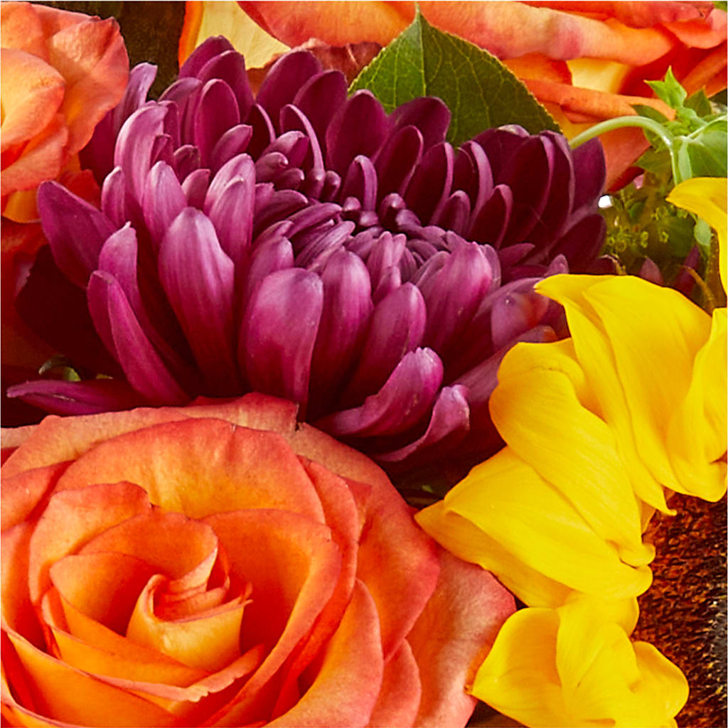 Nature Walk Bouquet –  Evergreen Flowers, Tucson AZ