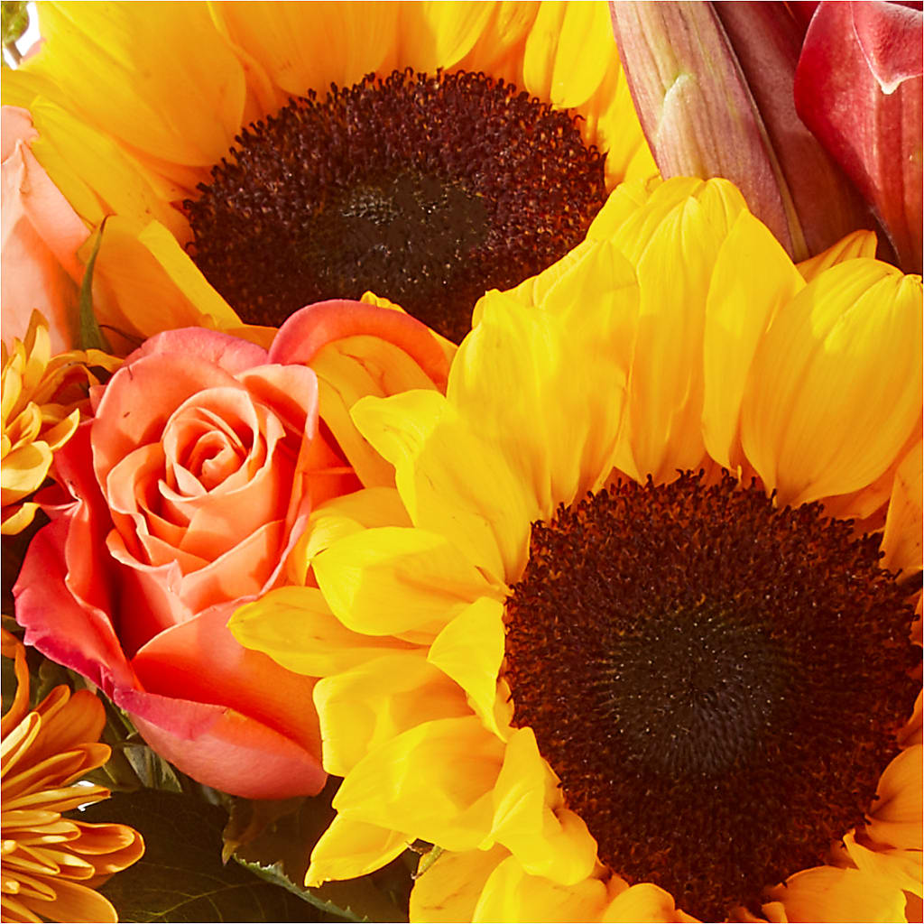 Acorn Lane Bouquet –  Evergreen Flowers, Tucson AZ