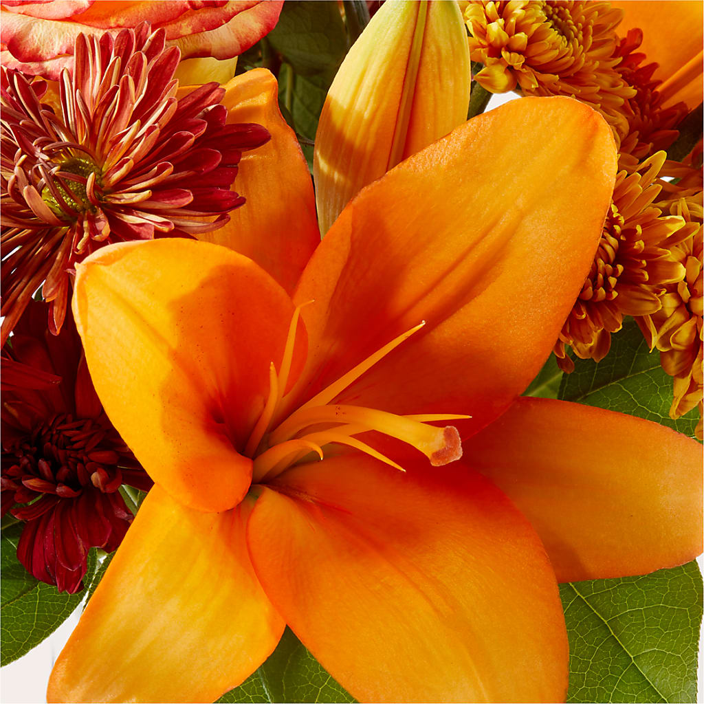 Autumnal Aroma Bouquet –  Evergreen Flowers, Tucson AZ