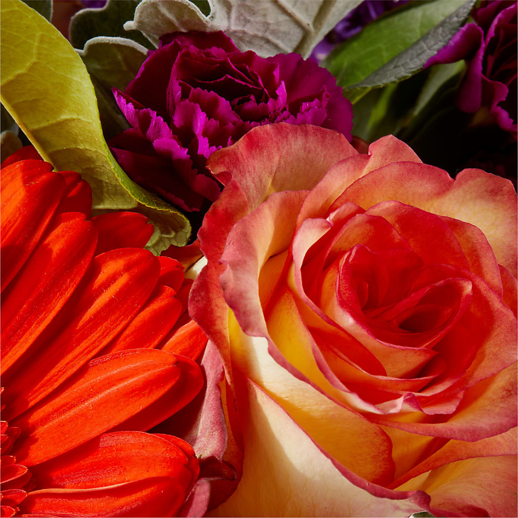 Sangria Bouquet –  Evergreen Flowers, Tucson AZ