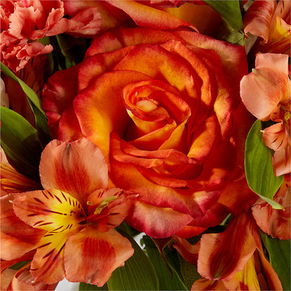 Apricot Glow Bouquet –  Evergreen Flowers, Tucson AZ