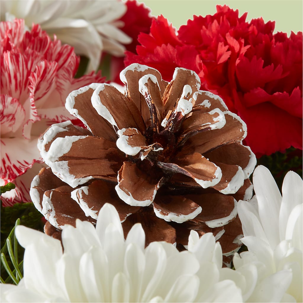 Candy Cane Lane Bouquet –  Evergreen Flowers, Tucson AZ
