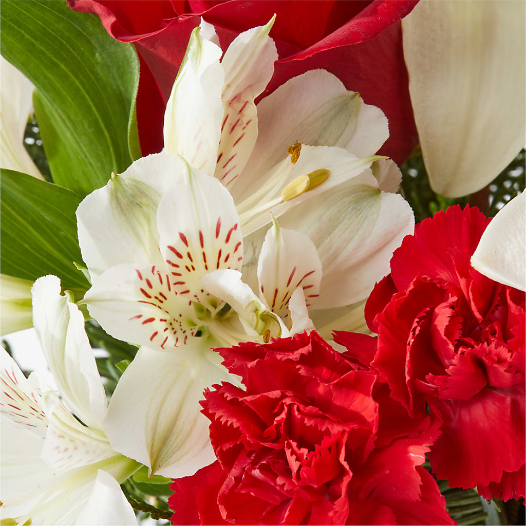 Holiday Season Bouquet –  Evergreen Flowers, Tucson AZ