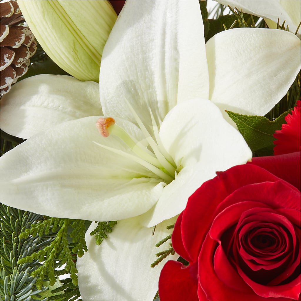 Oh So Jolly Bouquet –  Evergreen Flowers, Tucson AZ