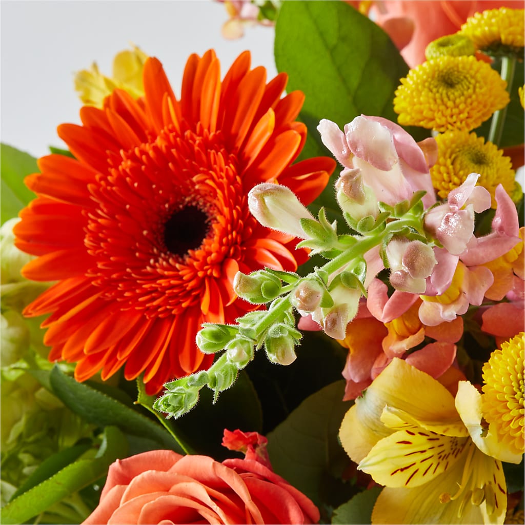 Autumn Sunshine Bouquet –  Evergreen Flowers, Tucson AZ