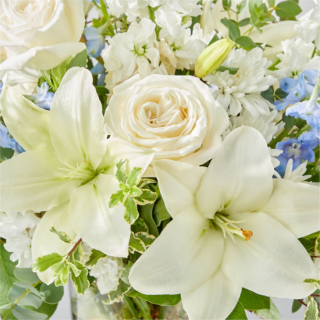Peace of Mind Bouquet –  Evergreen Flowers, Tucson AZ