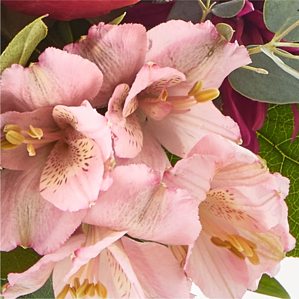 Berry Cobbler Bouquet –  Evergreen Flowers, Tucson AZ