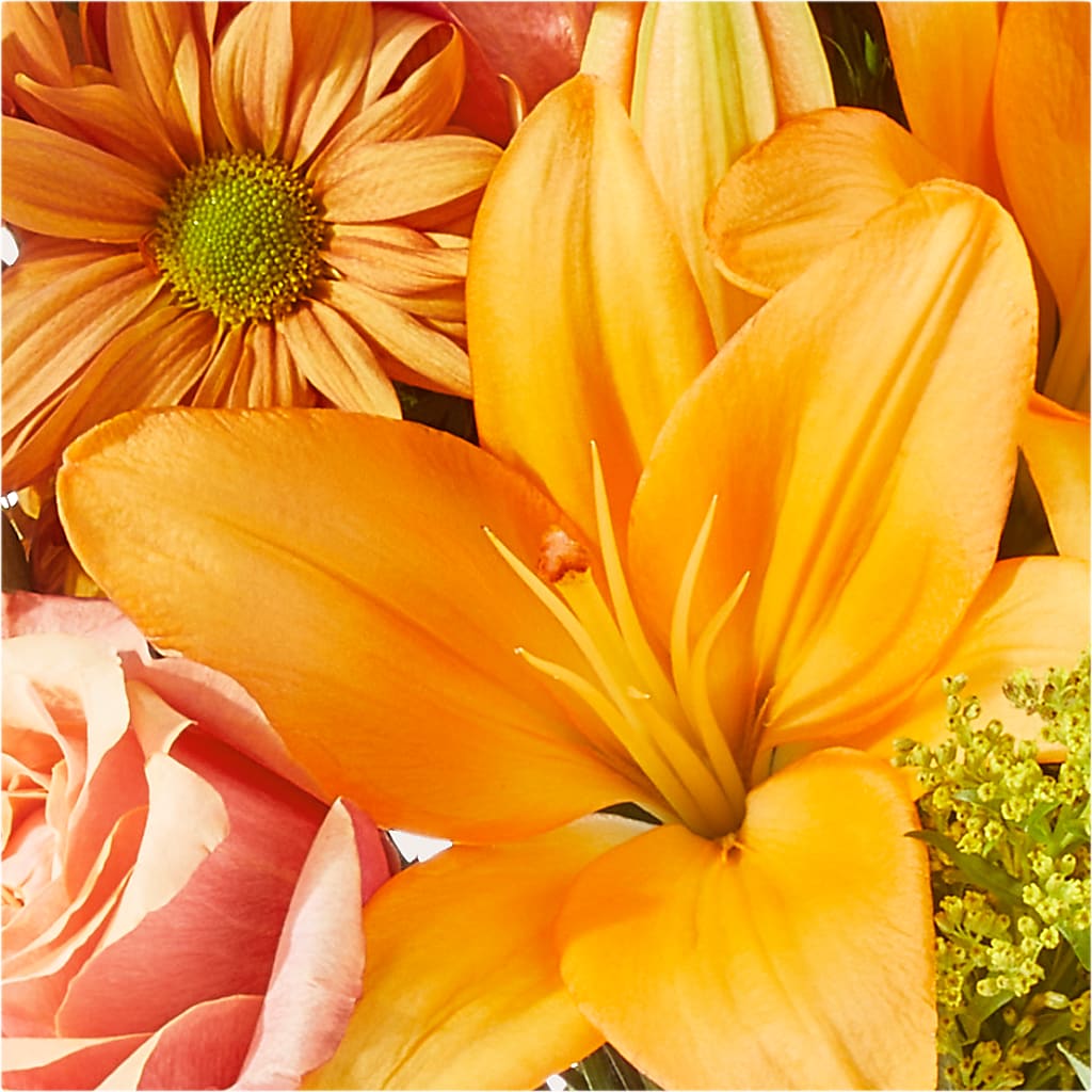 Harvest Hayride Bouquet –  Evergreen Flowers, Tucson AZ