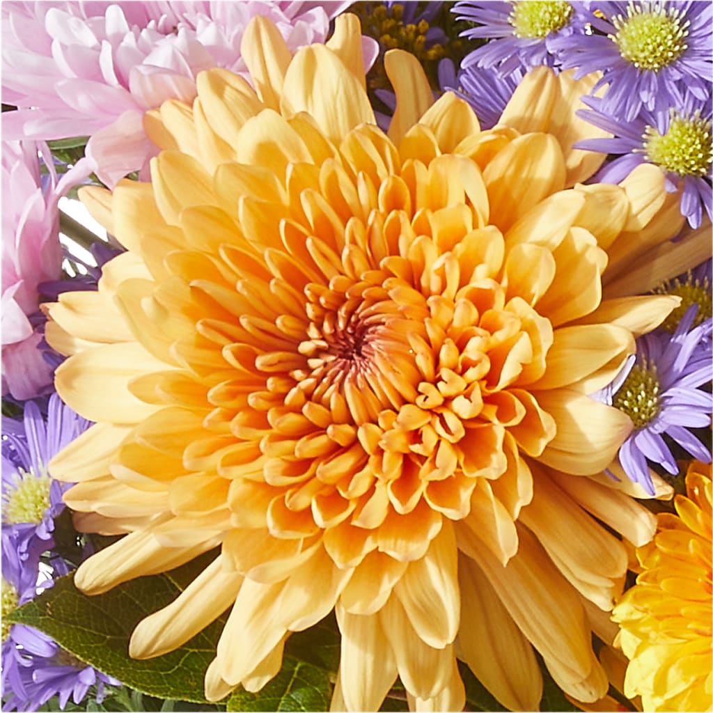 Countryside Bouquet –  Evergreen Flowers, Tucson AZ