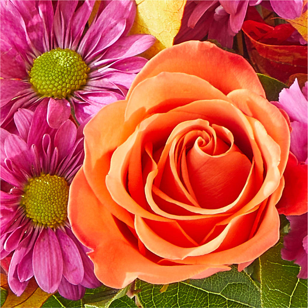 Mum's the Word Bouquet –  Evergreen Flowers, Tucson AZ