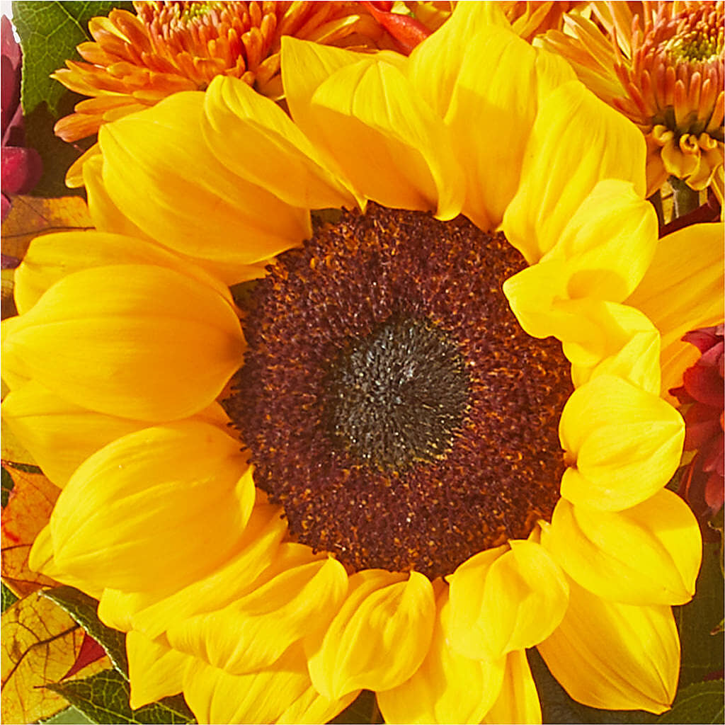 Sunny Side Bouquet –  Evergreen Flowers, Tucson AZ